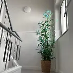 Appartement Lugar Dos Avos Nazaré