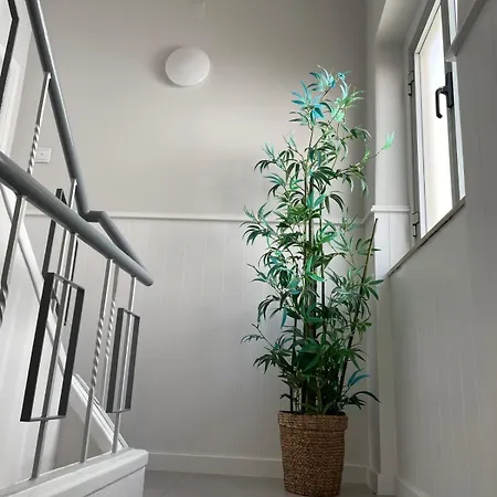 Apartament Lugar Dos Avos Nazaré